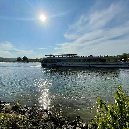 Chalet An Der Donau Direkt Bei Regensburg, 5 Sterne Dtv Pentling ภายนอก รูปภาพ